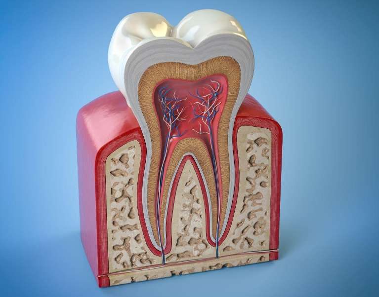 close up of infected tooth | root canals cookeville tn
